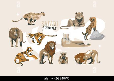 Handgezeichneter Vektor Stock abstrakte flache Grafik-Illustration mit afrikanischen wilden Löwen und Löwin, Gepard, jaguar und Tigern in der wilden Sammlung Set Stock Vektor