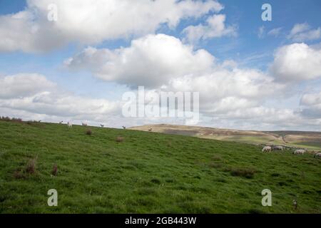 Shining Tor Macclesfield England Stockfoto