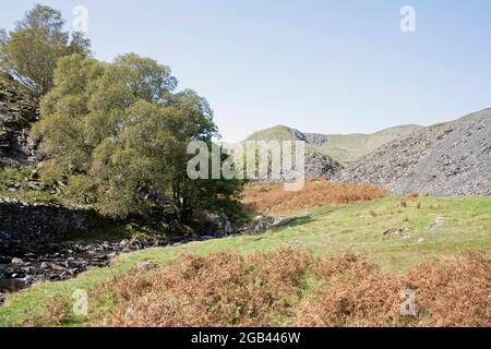 Torver Beck bei Torver High Common mit Dow Crag im Hintergrund Coniston the Lake District Cumbria England Stockfoto