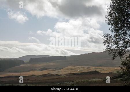 Hügel und Wälder, die sich über dem Big Water des Fleet Valley bei Dromore in der Nähe von Gatehouse von Fleet Dumfries und Galloway Scotland erheben Stockfoto