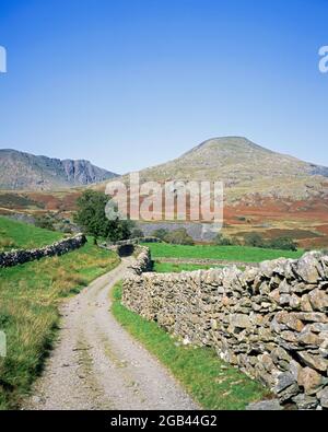 Der alte Mann von Coniston und Dow Crag aus der Nähe von Torver High Common Coniston im Lake District Cumbria England Stockfoto