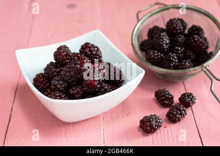 Eine Schale frisch gepflückter Boysenbeeren auf einem rosafarbenen Tisch. Stockfoto