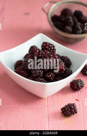 Eine Schale frisch gepflückter Boysenbeeren auf einem rosafarbenen Tisch. Stockfoto