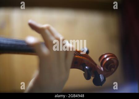 Hand des Geigers Stockfoto