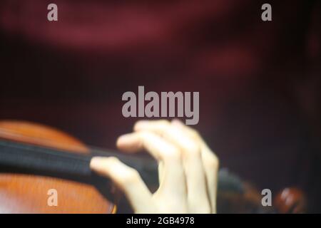 Hand des Geigers Stockfoto