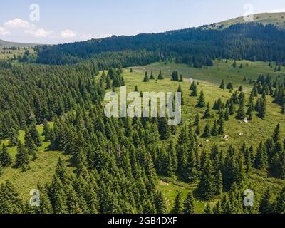 Luftaufnahme des Konyarnika-Gebietes am Vitosha-Berg, Region Sofia City, Bulgarien Stockfoto