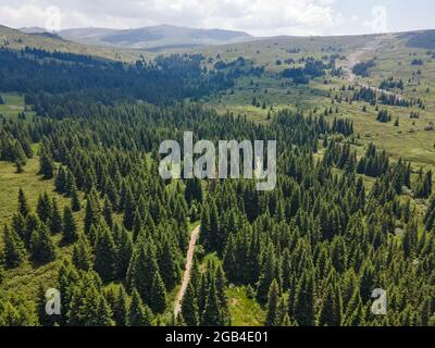Luftaufnahme des Konyarnika-Gebietes am Vitosha-Berg, Region Sofia City, Bulgarien Stockfoto