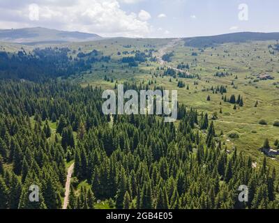 Luftaufnahme des Konyarnika-Gebietes am Vitosha-Berg, Region Sofia City, Bulgarien Stockfoto