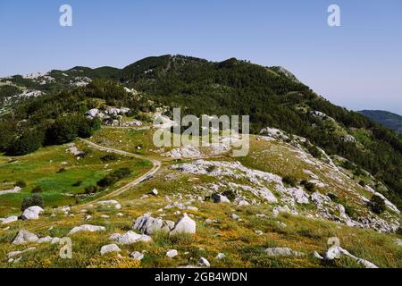 Blick auf die mit Wald, Gras und Steinen bedeckten Berge Stockfoto