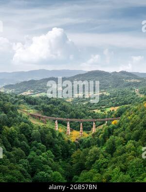 Alte Eisenbahnbrücke in üppigen Sommerwald in Karpaten Berge, Ukraine. Landschaftsfotografie Stockfoto
