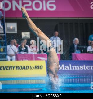 Der britische Taucher Tom Daley (Thomas Daley) 10 m Plateauchtauchgang, Tauchgänge ins Wasser, European Diving Championships 2016, London, UK Stockfoto