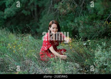 Identifizierung, Sammlung und Vorbereitung von Heilpflanzen. Anbau und Verarbeitung traditioneller Heilpflanzen. Frau in rustikalem Kleid Stockfoto