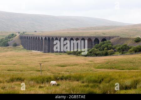 Bahnstrecke Ribblehead Viaduct Stockfoto
