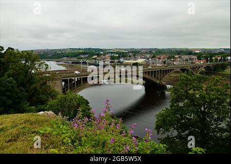 Ein Blick auf die Brücken, die den Fluss Tweed in der Northumberland-Stadt Berwick upon Tweed überspannen Stockfoto