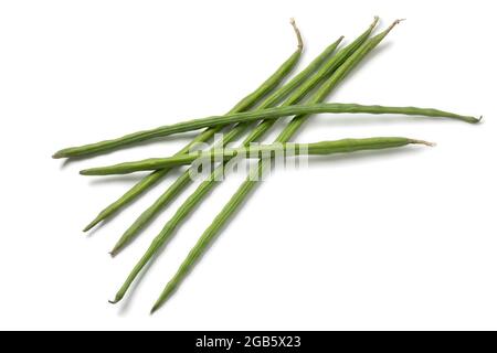 Frische rohe grüne ganze Moringa-Bohnen isoliert auf weißem Hintergrund Stockfoto