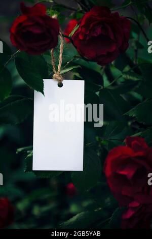 Mockup Grußkarte, Einladung oder Visitenkarte auf dem Hintergrund eines Strauchs von Rosen. Schreibwaren. Romantische Stimmung. Valentinstag Stockfoto