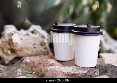 Zwei Tassen Kaffee zum Verreisen, Tassen in weißem Papier auf den Steinen. Hinter den Steinen wächst ein Kaktus. Stockfoto