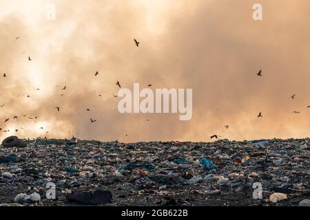 Verschmutzungskonzept, brennender Müllhaufen in Mülldeponie oder Deponie Stockfoto