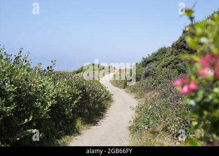Der 804 Trail entlang der Küste bei Yachats, Oregon. Stockfoto