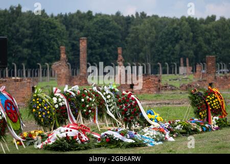 Brzezinka, Polen. August 2021. Kranz und Blumen liegen auf dem Gras des ehemaligen Lagers Auschwitz II Birkenau.Tag des Gedenkens an den Völkermord von Roma und Sinti. Vor 77 Jahren, in der Nacht vom 2. Auf den 3. August 1944, liquidierten die Deutschen das Zigeunerfamilienlager im KL Auschwitz II Birkenau. Der Jahrestag wurde im ehemaligen Lager Auschwitz II-Birkenau organisiert. Kredit: SOPA Images Limited/Alamy Live Nachrichten Stockfoto