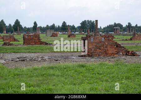 Brzezinka, Polen. August 2021. Barackenschutt im ehemaligen Lager Auschwitz II Birkenau.Tag des Gedenkens an den Völkermord an Roma und Sinti. Vor 77 Jahren, in der Nacht vom 2. Auf den 3. August 1944, liquidierten die Deutschen das Zigeunerfamilienlager im KL Auschwitz II Birkenau. Der Jahrestag wurde im ehemaligen Lager Auschwitz II-Birkenau organisiert. (Foto von Wojciech Grabowski/SOPA Images/Sipa USA) Quelle: SIPA USA/Alamy Live News Stockfoto