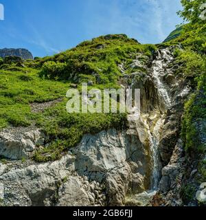 wilder Bach in den Bergen vom Grosswalsertal, an der Roten Wand, fliesst durch blumenübersäte Alpwiesen den steilen Abhang hinten. Alpenrosen Stockfoto