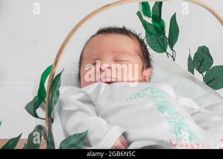Schönes neugeborenes Baby (4 Tage alt), schlafend im Bambusfaserkorb und umgeben von grünen Blättern. Nahaufnahme von oben, gesundes Ärztekonzept Stockfoto