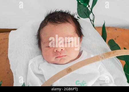 Schönes neugeborenes Baby (4 Tage alt), schlafend im Bambusfaserkorb und umgeben von grünen Blättern. Nahaufnahme von oben, gesundes Ärztekonzept Stockfoto