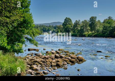 Der Fluss Spey in der Nähe von Grantown-on-Spey, Badenoch und Speyside, Schottland Stockfoto