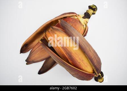 Exotisches Gemüse essbare Bananenblüte oder Bananenblüte. Weit verbreitet in verschiedenen Rezepten in Asien, indischen Subkontinent verwendet Stockfoto