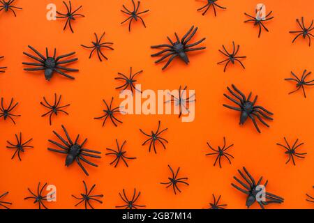 Halloween Hintergrund mit Spinnen auf dem leuchtend orangefarbenen Hintergrund. Draufsicht Stockfoto