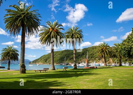 Der Blick in die Bucht von der Picton Waterfront ist wunderschön, gesäumt von Nikau Palmen und ist ein malerischer Ort, um auf die Fähre zu warten. Picton, Neuseeland Stockfoto