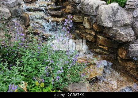 Ein kleiner, ruhiger Wasserfall mit rauschendem Wasser, das an einem schönen sonnigen Sommertag über Felsen stürzt. Stockfoto