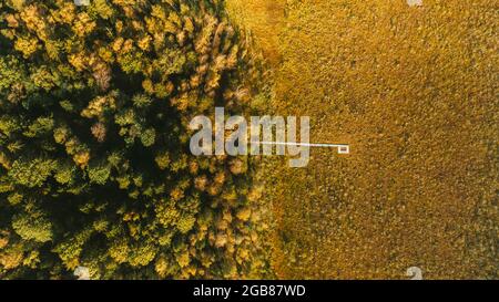 Weißrussland, Biosphärenreservat Beresinsky. Luftaufnahme aus der Vogelperspektive Blick auf den Holzweg vom Sumpfgebiet zum Nadelwald am sonnigen Herbsttag Stockfoto