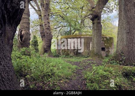 Pillbox aus dem Zweiten Weltkrieg in einer strategischen Position entlang des Flusses Wey Navigations als Teil der Verteidigungslinie des GHQ im Landesinneren. Guildford, Surrey, England, Großbritannien Stockfoto