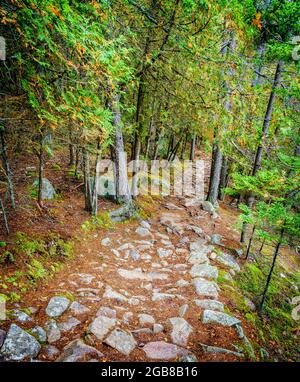 Wanderweg entlang des Long Pond im Acadia National Park in Maine Stockfoto