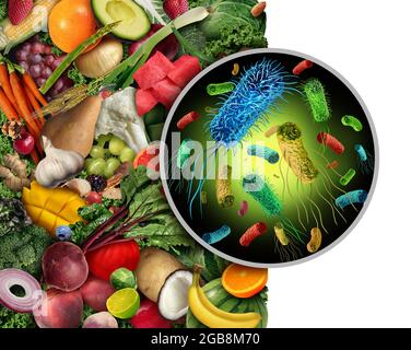 Kontaminiertes Obst und Gemüse als infektiöse Bakterien und ansteckende Keime wie Salmonella Listeria auf produzieren und essen bakterielle Kontaminanten. Stockfoto