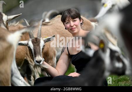 Flatow, Deutschland. Juli 2021. Die Bäuerin Sarah Spindler mit ihrer Ziegenherde auf dem Gelände der Ziegenkäserei Karolinenhof bei Kremmen. Der Ziegenhof ist seit 1992 hier und produziert 20 verschiedene Sorten Rohmilchkäse aus 100 Prozent Ziegenmilch in seiner eigenen Käserei. Frische Milch, Joghurt, Kuchen und frisches Obst und Gemüse werden ebenfalls verkauft. Die Produkte werden ausschließlich im Hofladen und im dazugehörigen Hofcafé verkauft. In der Zwischenzeit werden auch Milchschafe, schottische Highland-Rinder und Bantams gehalten. Quelle: Britta Pedersen/dpa-Zentralbild/ZB/dpa/Alamy Live News Stockfoto