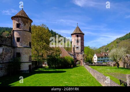 Kloster Hirsau, ehemalige Klosteranlage St. Peter und Paul, Romanik, bei Calw, Schwarzwald, Baden-Württemberg, Deutschland Stockfoto