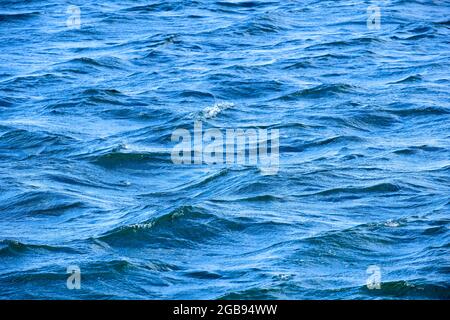 Wasseroberfläche mit kleinen Wellen, Tapete, Deutschland Stockfoto