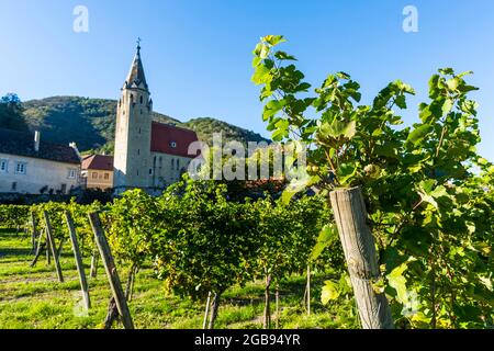 Pfarrkirche St. Sigismund, Schwallenbach, Wachau, Österreich Stockfoto