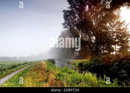 Grasland im Droemling bei Sonnenaufgang, Feldweg neben dem Entwässerungsgraben, Tieflandmoor, Tiefland, Biosphärenreservat, Naturschutzgebiet, Spaltenpfad Stockfoto