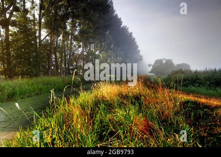 Grünland im Droemling, Entwässerungsgraben, Tieflandmoor, Tieflandgebiet, Biosphärenreservat, Naturschutzgebiet, Kolonnenweg, Lochplattenweg, innerdeutsch Stockfoto