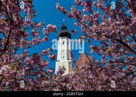 Der Turm des säkularisierten Frauenkircherls in Erding, Oberbayern, Bayern, Deutschland Stockfoto