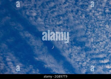 Altocumulus Wolken mit Halbmond, flauschige Wolken, Oberösterreich, Österreich Stockfoto