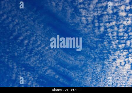 Altocumulus Wolken mit Halbmond, flauschige Wolken, Oberösterreich, Österreich Stockfoto