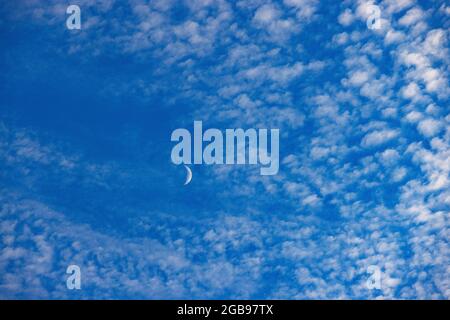 Altocumulus Wolken mit Halbmond, flauschige Wolken, Oberösterreich, Österreich Stockfoto