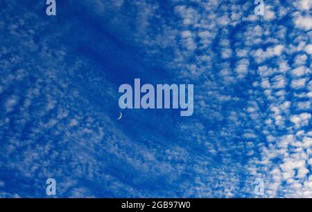 Altocumulus Wolken mit Halbmond, flauschige Wolken, Oberösterreich, Österreich Stockfoto