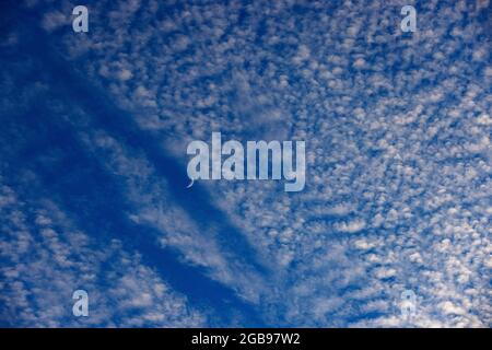 Altocumulus Wolken mit Halbmond, flauschige Wolken, Oberösterreich, Österreich Stockfoto