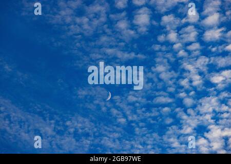 Altocumulus Wolken mit Halbmond, flauschige Wolken, Oberösterreich, Österreich Stockfoto